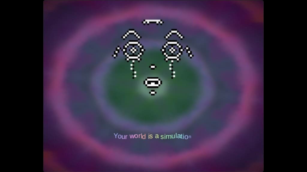 Simulation Simulator — The Entity